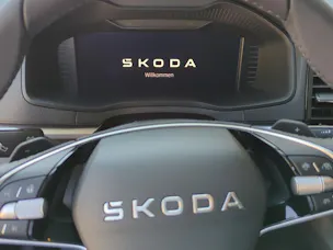 Škoda Karoq 1.5 TSI Selection DSG