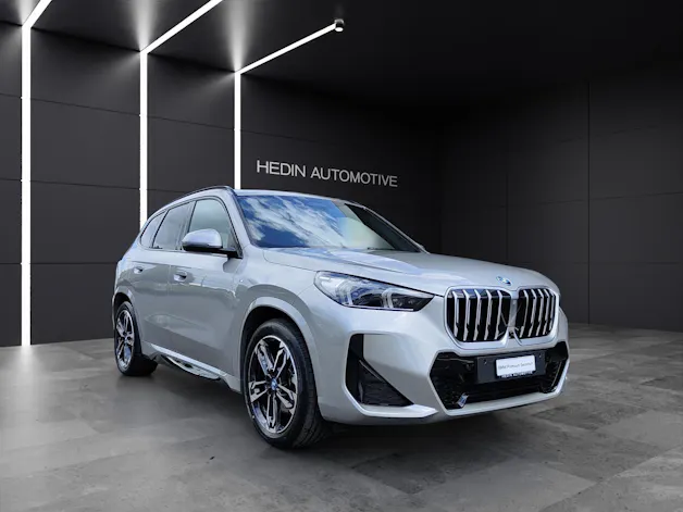 BMW X1 30e xDrive paddles