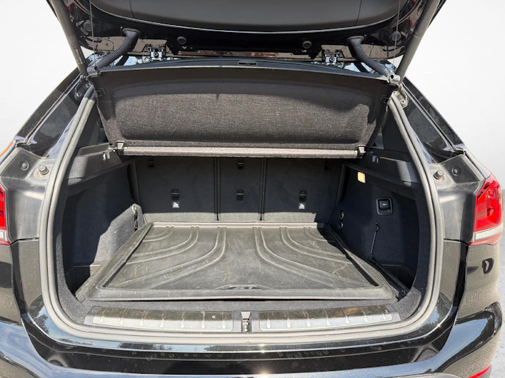 immagine del veicolo BMW X1