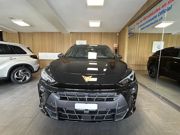 Cupra Terramar 2.0 TSI VZ 4Drive DSG