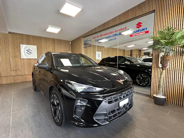 Cupra Terramar 2.0 TSI VZ 4Drive DSG