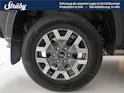 Ford Ranger DKab.Pick-up 2.3 EcoBoost 4x4 Wildtrak PHEV