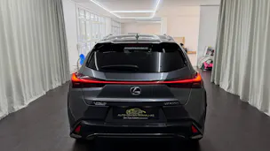 Lexus UX 250h F Sport AWD Automatic