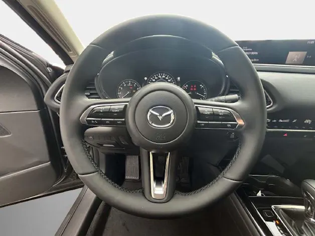 Mazda CX-30 2.0/186 Homura 4x4