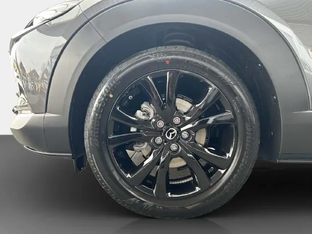 Mazda CX-30 2.0/186 Homura 4x4