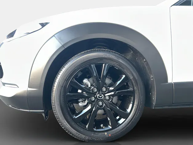 Mazda CX-30 2.0/186 Homura 4x4