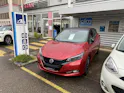 Nissan Leaf e+ Tekna (incl. battery)