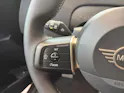 Mini Countryman E