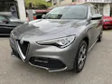 Alfa Romeo Stelvio 2.2JTDM Execu. Q4