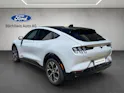 Ford Mustang Mach-E Extended AWD