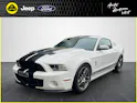 Ford Shelby GT500