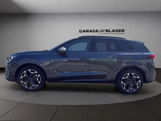 Cupra Terramar 2.0 TSI Prime Edition VZ 4Drive DSG