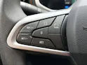 Dacia Spring Extreme Electric 65