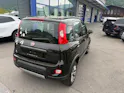 Fiat Panda 0.9 T TwinAir 4x4 S/S E6d