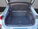 Cupra Terramar 2.0 TSI Prime Edition 4Drive DSG