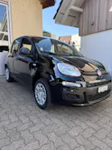 Fiat Cult