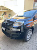 Fiat Cult