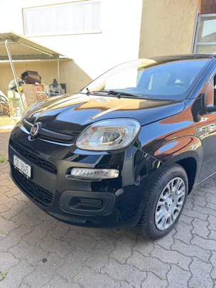 Fiat Cult