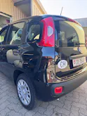 Fiat Cult