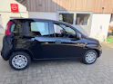 Fiat Cult