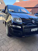 Fiat Cult