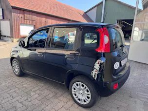 Fiat Cult