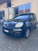 Fiat Cult