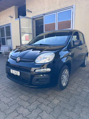 Fiat Cult
