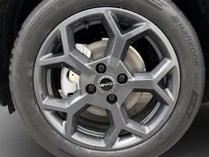 BYD Dolphin Surf Comfort