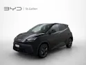 BYD Dolphin Surf Comfort