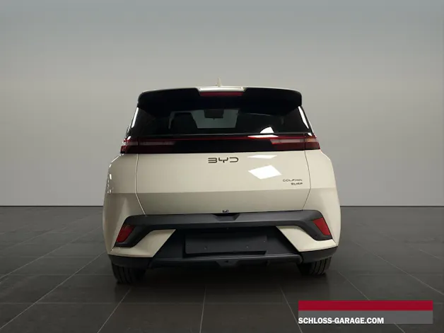 BYD Dolphin Surf Comfort