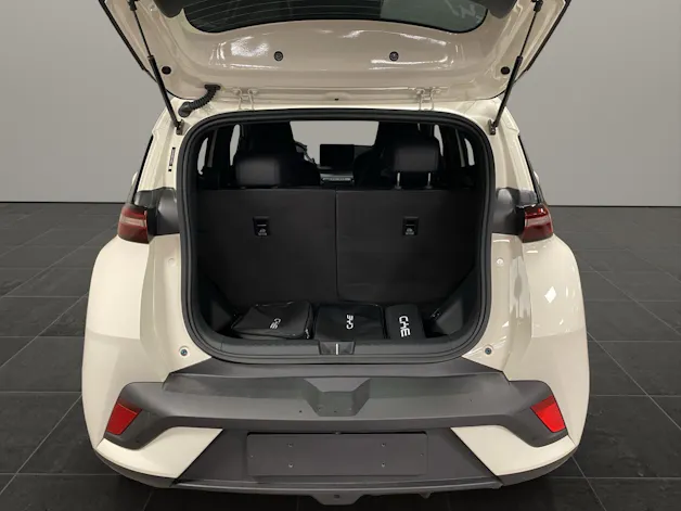 BYD Dolphin Surf Comfort