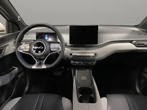 BYD Dolphin Surf Comfort