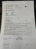 Audi Q4 e-tron 50 quattro