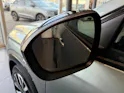Renault Espace 1.2 E-Tech 200 Iconic 5-Sitze