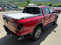 Ford Ranger Wildtrak 2.3 Eco Boost e-4WD Automat