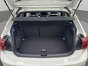 VW Polo 2.0 TSI GTI DSG