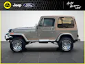 Jeep Wrangler 4.2