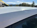 VW Polo 1.0 TSI Life DSG