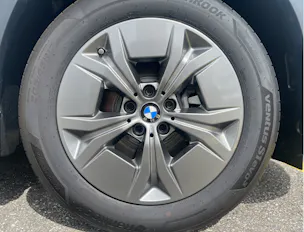 BMW iX1 xDrive 30 (CH) 🔋