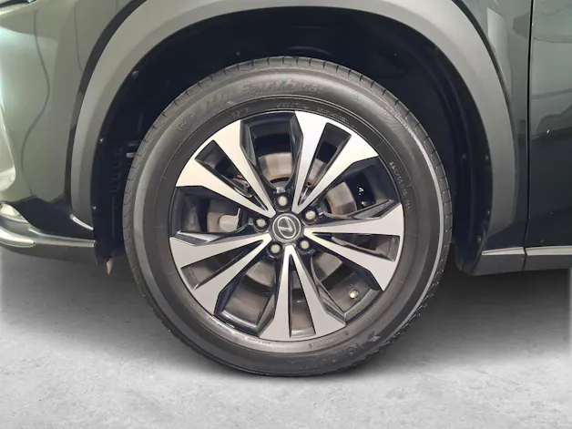 Lexus NX 300h Special Edition