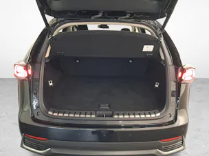 Lexus NX 300h Special Edition