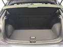 VW Polo 2.0 TSI GTI DSG