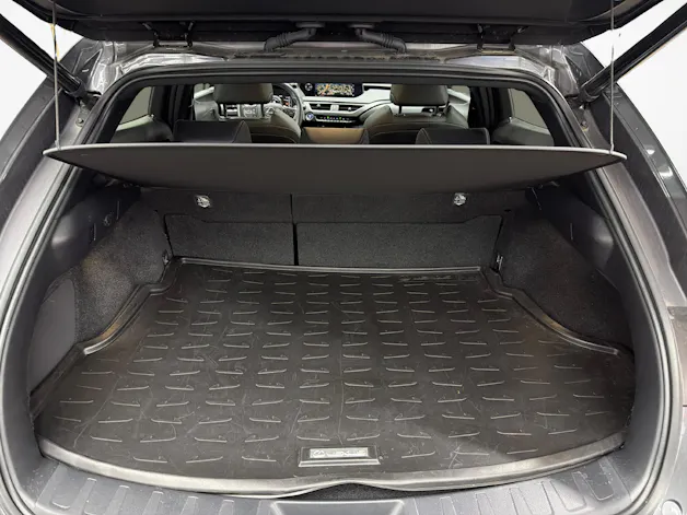 Lexus UX 250h Excellence