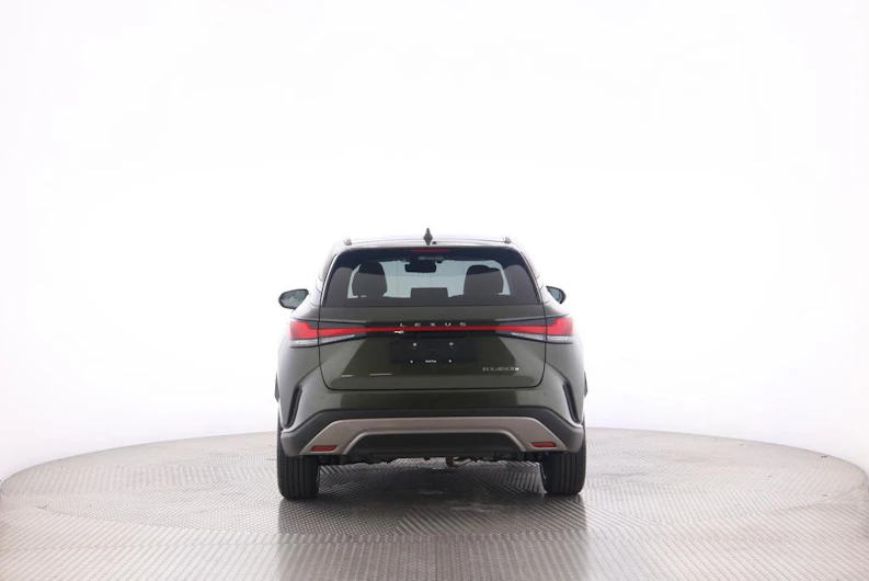 Fahrzeugbild LEXUS RX