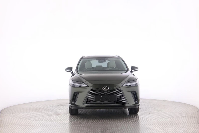 Fahrzeugbild LEXUS RX