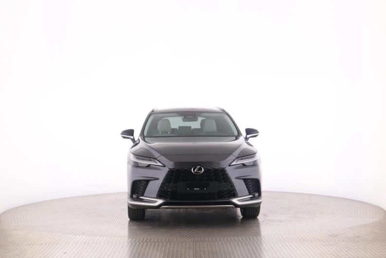 Fahrzeugbild LEXUS RX