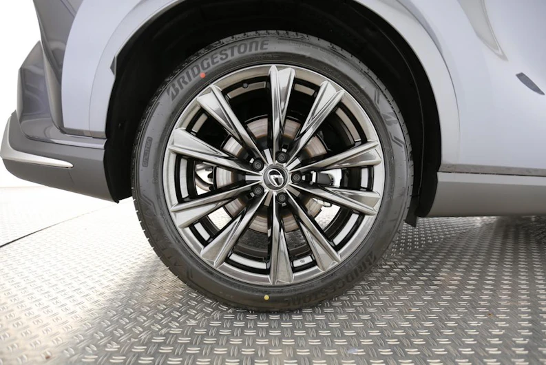 Fahrzeugbild LEXUS RX