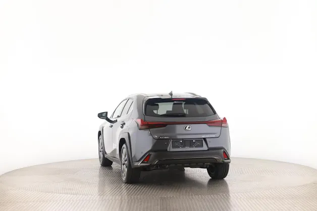 Lexus UX 300h F-Line