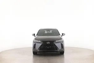 Lexus UX 300h F-Line